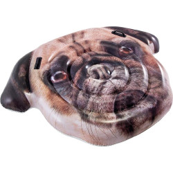 ΣΩΣΙΒΙΟ PUG FACE ISLAND