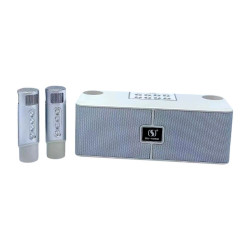Ασύρματο ηχείο Bluetooth με 2 μικρόφωνα Karaoke – YS-204 – 887202